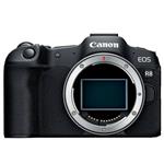 Canon EOS R8 Mirrorless Camera Body image